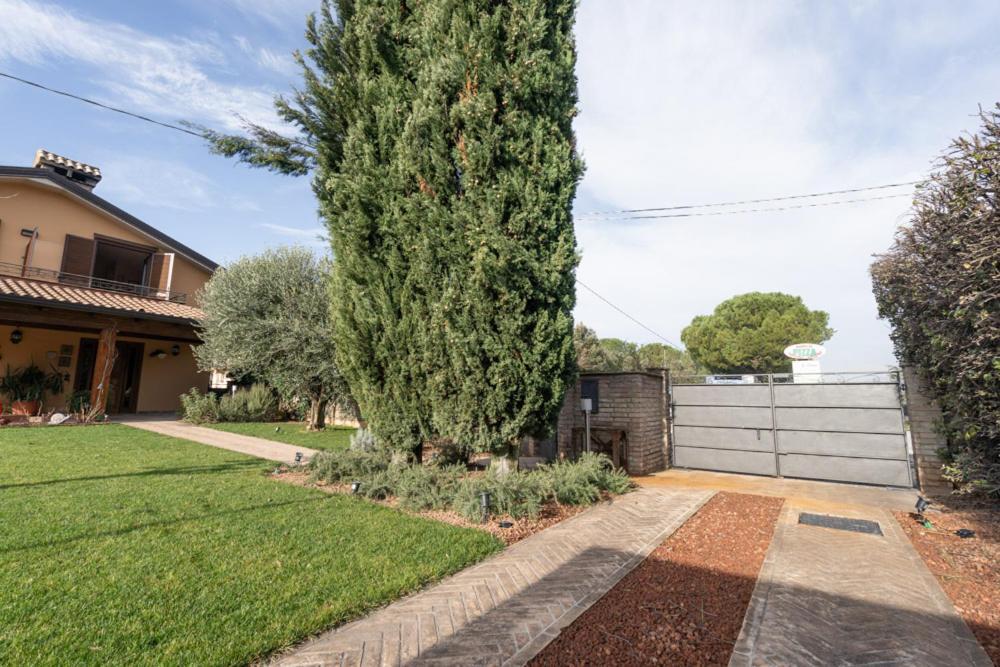 Bed & Breakfast La Via Francigena Assisi